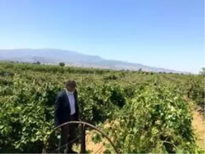 Son dakika haberleri | CHP Genel Başkan Yardımcısı Sarıbal Manisa'da