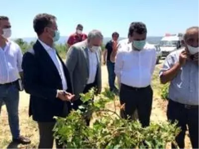 Son dakika haberleri | CHP Genel Başkan Yardımcısı Sarıbal Manisa'da