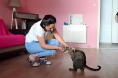 Engelli kediye umut oldular