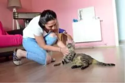Engelli kediye umut oldular Engelli kediye umut oldular