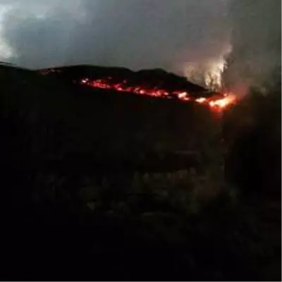 Erciş'te çıkan yangında traktör hurdaya döndü