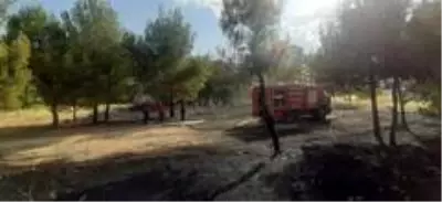 Eski polis özel harekat binası bahçesinde korkutan yangın Eski polis özel harekat binası bahçesinde korkutan yangın