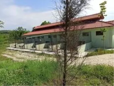 Geçici hayvan bakımevi denetlendi Geçici hayvan bakımevi denetlendi