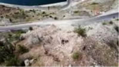 Görenler heyelan zannetti, dev kayaların yamaçtan yuvarlanması nefes kesti