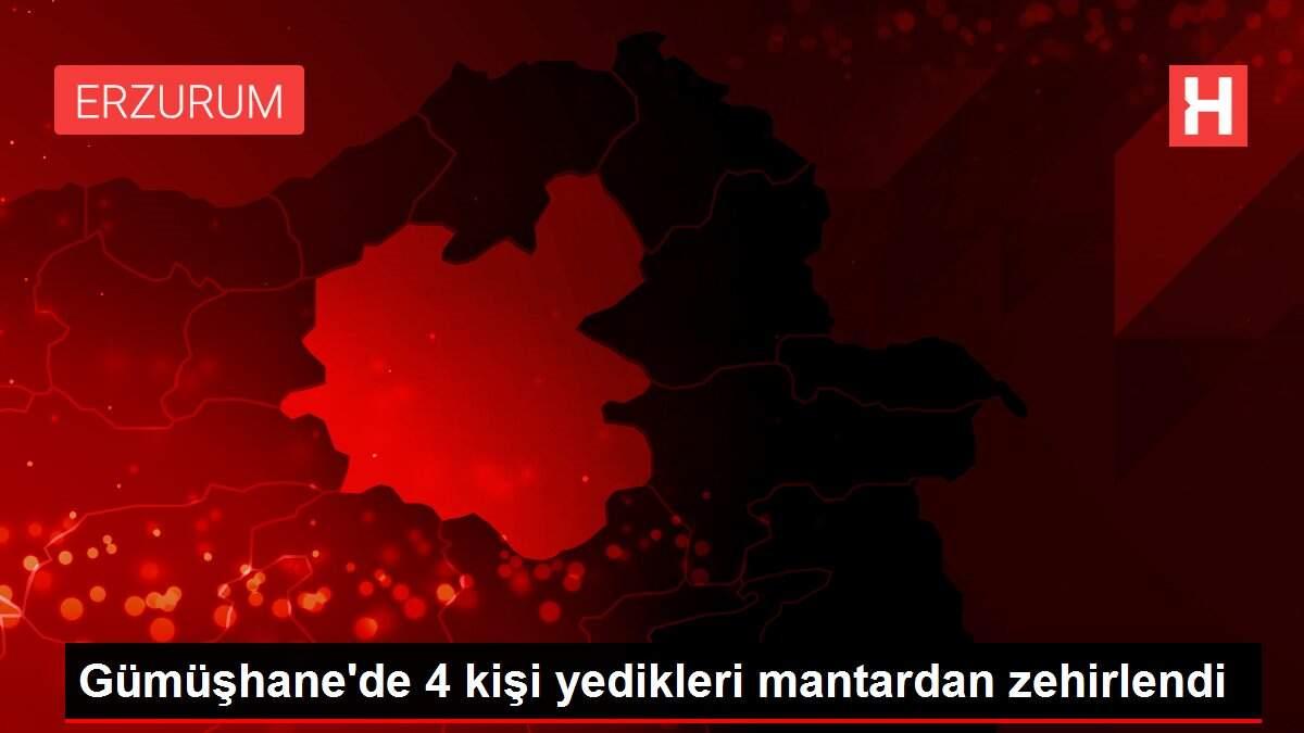 Gümüşhane'de 4 kişi yedikleri mantardan zehirlendi