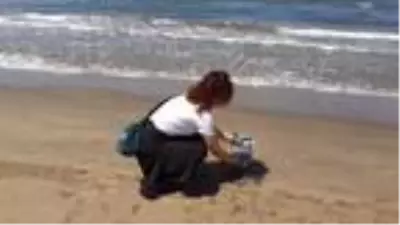 İyileşen martı ile kaplumbağa doğaya salındı İyileşen martı ile kaplumbağa doğaya salındı