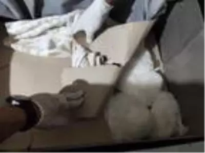 Kargo şubesinde 3 kilo metamfetamin ele geçirildi Kargo şubesinde 3 kilo metamfetamin ele geçirildi