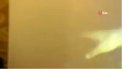 Son dakika haber! - Kıbrıs Adası'nın mutfak kültürü bir kitapta toplandı- 'Tarihsel Süreç İçerisinde Otantik Kıbrıs... Son dakika haber! - Kıbrıs Adası'nın mutfak kültürü bir kitapta toplandı- 'Tarihsel Süreç İçerisinde Otantik Kıbrıs...