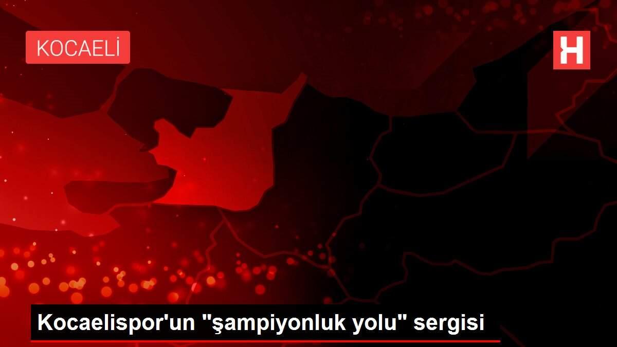Kocaelispor'un