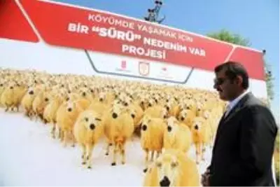 'Köyde yaşamak için 'bir sürü' neden projesi' protokolü koyun sürülerinin arasında imzalandı 'Köyde yaşamak için 'bir sürü' neden projesi' protokolü koyun sürülerinin arasında imzalandı