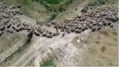 Köyümde Yaşamak İçin Bir 'Sürü' Nedenim Var Projesi - SİVAS Köyümde Yaşamak İçin Bir 'Sürü' Nedenim Var Projesi - SİVAS