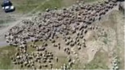Köyümde Yaşamak İçin Bir 'Sürü' Nedenim Var Projesi - SİVAS Köyümde Yaşamak İçin Bir 'Sürü' Nedenim Var Projesi - SİVAS