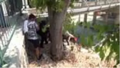 Ölmek isteyen kadını ırmağa atlayıp kurtardı Ölmek isteyen kadını ırmağa atlayıp kurtardı
