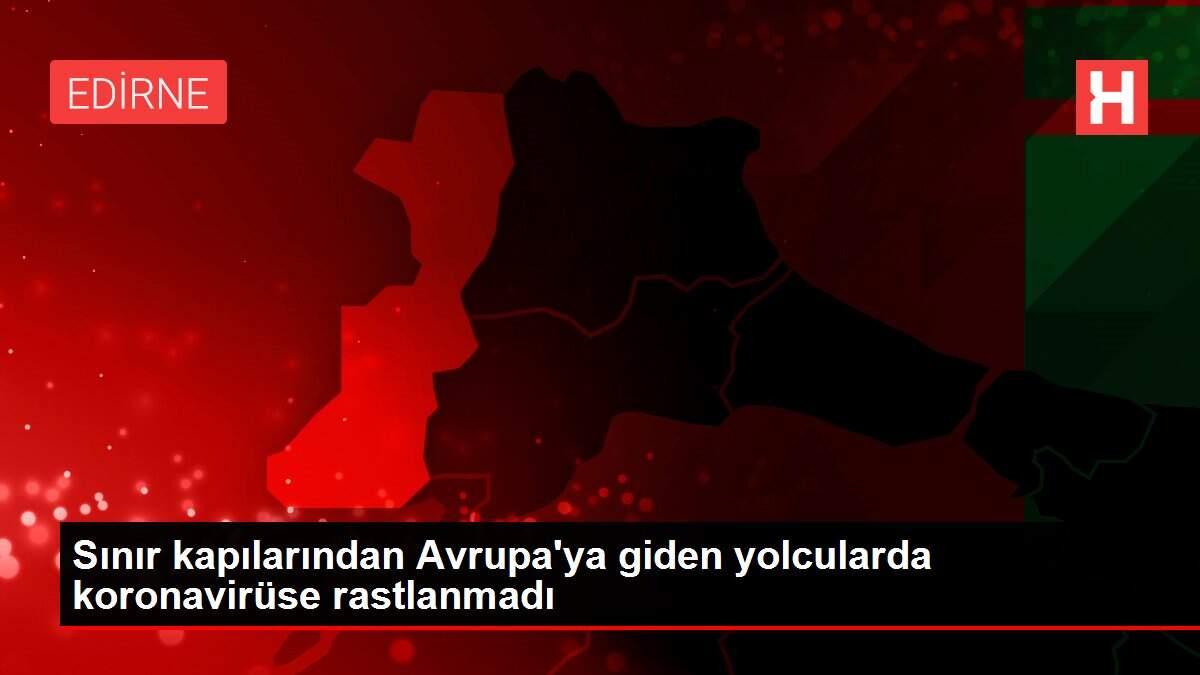 Sınır kapılarından Avrupa'ya giden yolcularda koronavirüse rastlanmadı