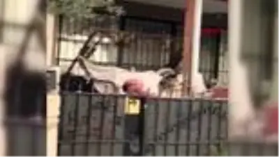 Sokak köpeğini bıçakla yaraladı