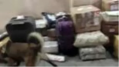 Valizin taban kısmında 3 kilo metamfetamin ele geçirildi Valizin taban kısmında 3 kilo metamfetamin ele geçirildi