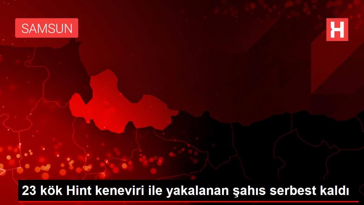 23 kök Hint keneviri ile yakalanan şahıs serbest kaldı 23 kök Hint keneviri ile yakalanan şahıs serbest kaldı