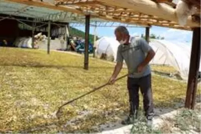 300 kişiye iş imkanı sağlıyor, ancak iş yerine elektrik alamıyor 300 kişiye iş imkanı sağlıyor, ancak iş yerine elektrik alamıyor
