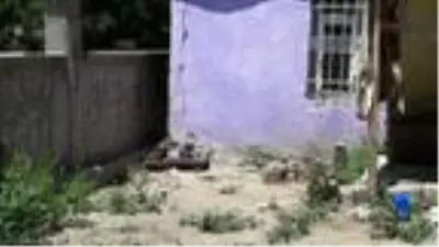 8 yaşındaki Evin, dedesinin evinin bahçesinde ölü bulundu (2)