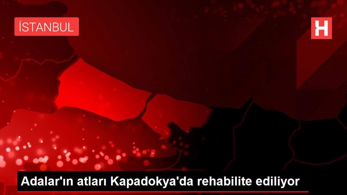 Adalar'ın atları Kapadokya'da rehabilite ediliyor Adalar'ın atları Kapadokya'da rehabilite ediliyor