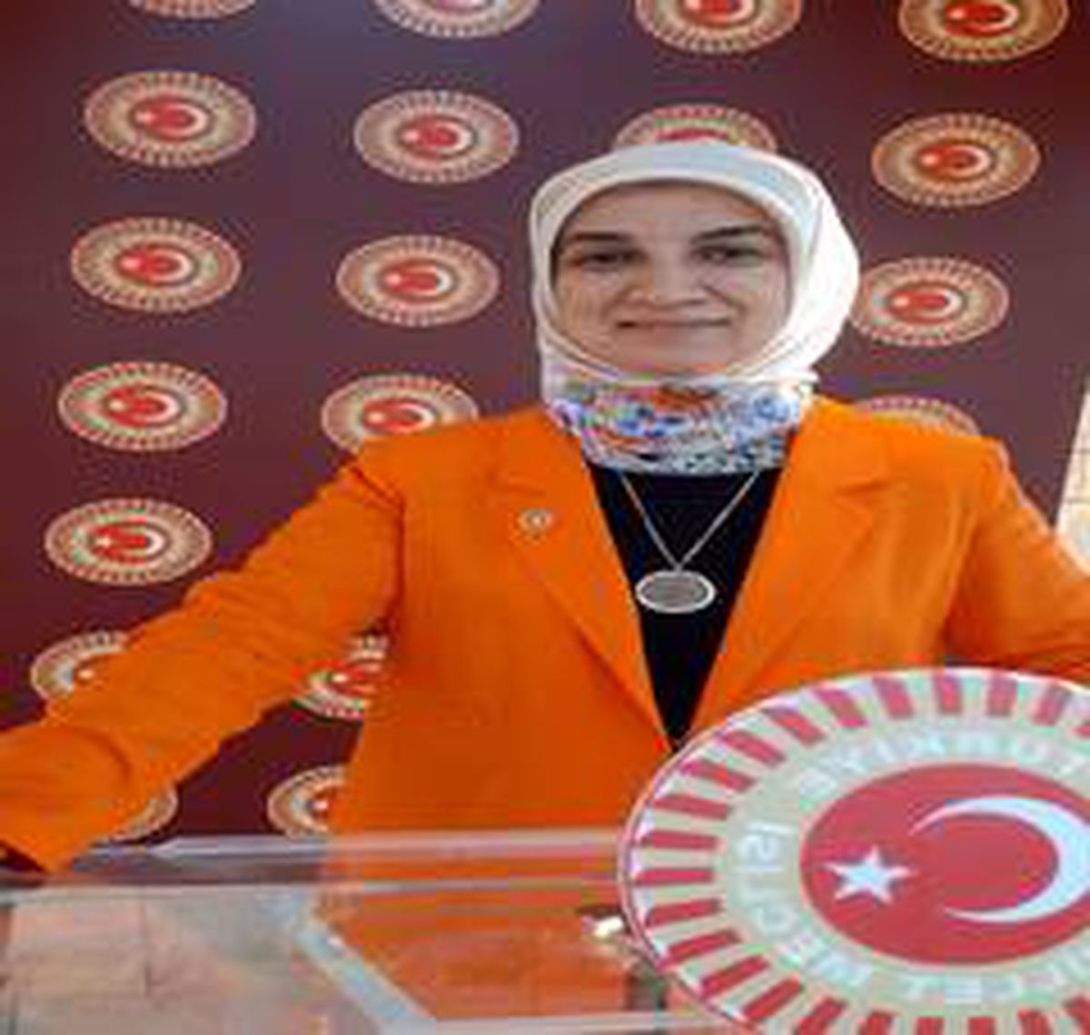 AK Parti Milletvekili Gürel'den 'Baro' açıklaması