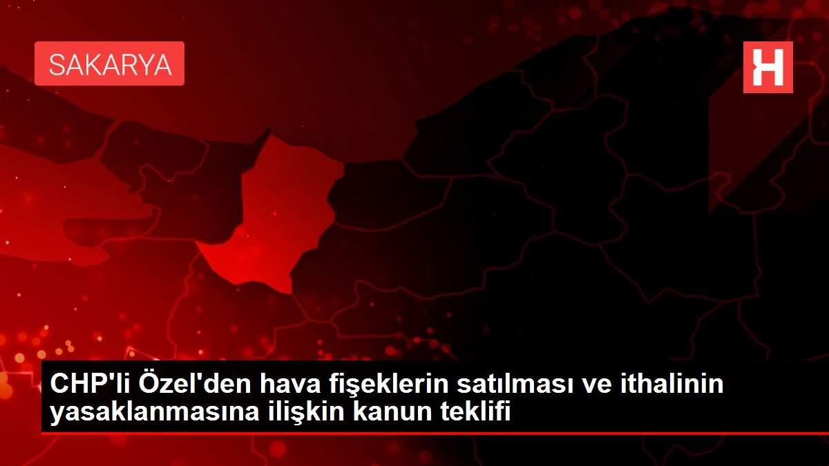CHP'li Özel'den hava fişeklerin satılması ve ithalinin yasaklanmasına ilişkin kanun teklifi CHP'li Özel'den hava fişeklerin satılması ve ithalinin yasaklanmasına ilişkin kanun teklifi
