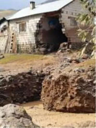 Erciş'teki selde, ayı telef oldu Erciş'teki selde, ayı telef oldu