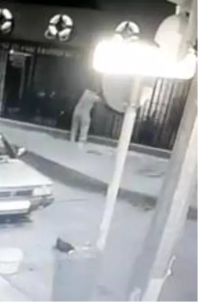 Hırsıza demir korkuluk engeli Hırsıza demir korkuluk engeli