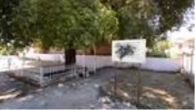 İznik'te tarihi türbeye spreyli saldırı İznik'te tarihi türbeye spreyli saldırı