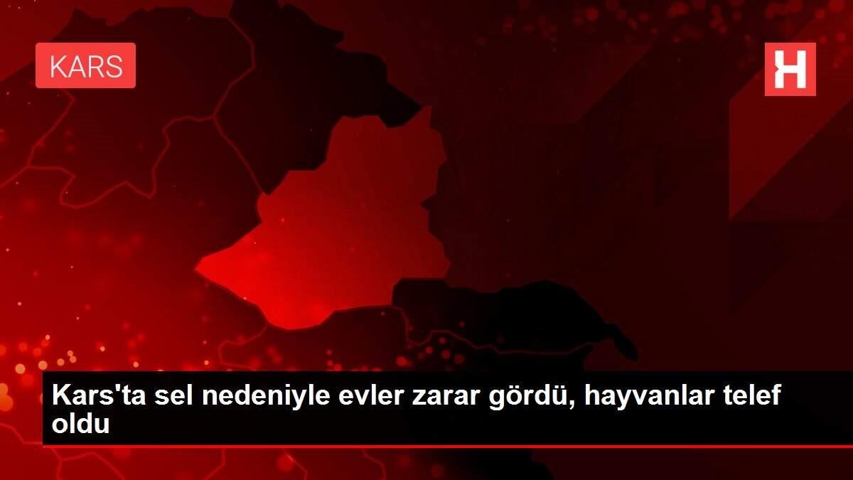 Kars'ta sel nedeniyle evler zarar gördü, hayvanlar telef oldu Kars'ta sel nedeniyle evler zarar gördü, hayvanlar telef oldu