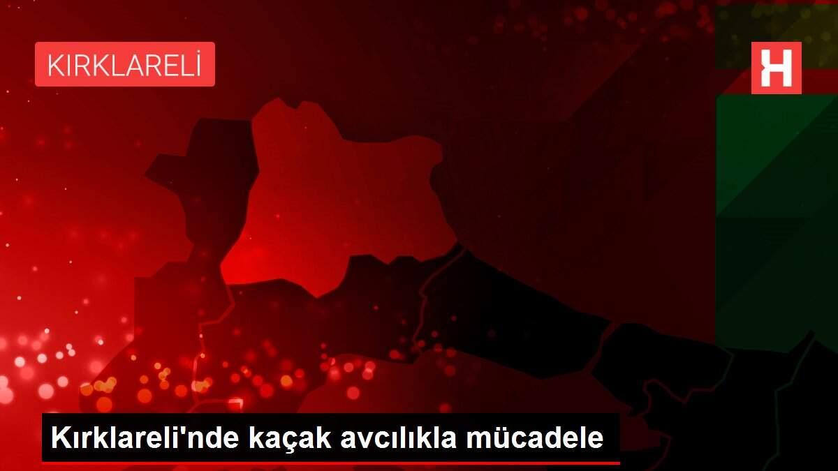 Kırklareli'nde kaçak avcılıkla mücadele