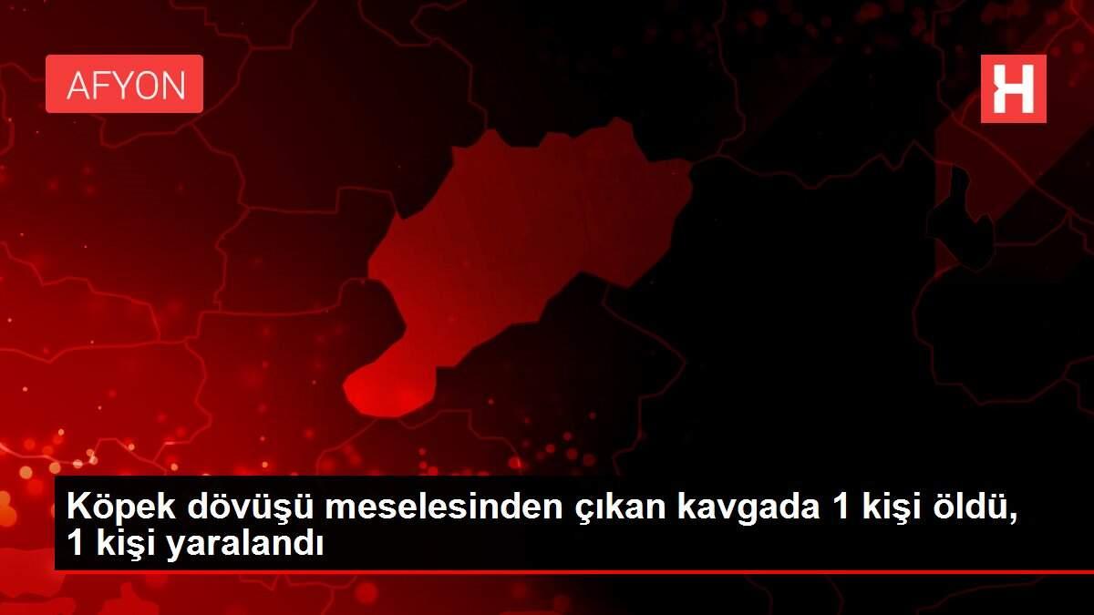 Köpek dövüşü meselesinden çıkan kavgada 1 kişi öldü, 1 kişi yaralandı Köpek dövüşü meselesinden çıkan kavgada 1 kişi öldü, 1 kişi yaralandı