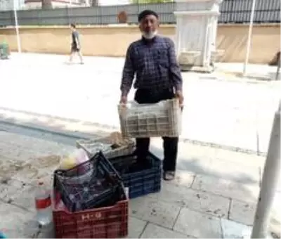 Korona virüs kiraz üreticisini de vurdu Korona virüs kiraz üreticisini de vurdu