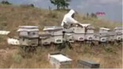 Lavanta balının kilosu 300 TL Lavanta balının kilosu 300 TL