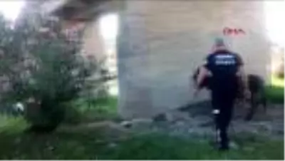 Son dakika haberleri! Ölüme terk edilen eşek kurtarıldı Son dakika haberleri! Ölüme terk edilen eşek kurtarıldı