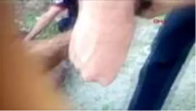 Son dakika haberleri! Ölüme terk edilen eşek kurtarıldı