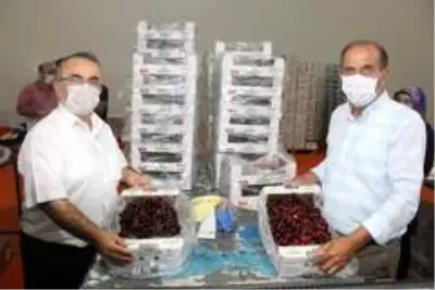 TKDK'dan alınan hibe desteğiyle kurulan tesiste ihracat başladı TKDK'dan alınan hibe desteğiyle kurulan tesiste ihracat başladı