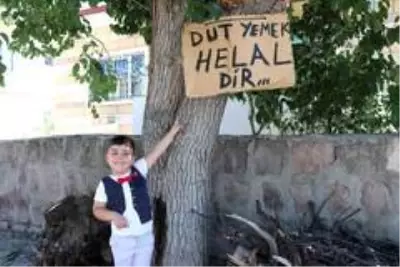 Ağaçtaki dutları yemek isteyen vatandaşlara not bıraktı Ağaçtaki dutları yemek isteyen vatandaşlara not bıraktı