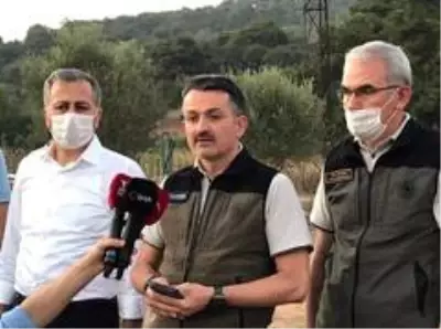 Bakan Pakdemirli'den Heybeliada açıklaması