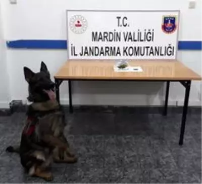 'Cesur' uyuşturucuya geçit vermedi