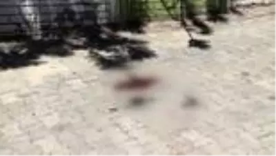 Daha önce birlikte yaşadığı kadını ve 6 yaşındaki kızını öldürdü Daha önce birlikte yaşadığı kadını ve 6 yaşındaki kızını öldürdü