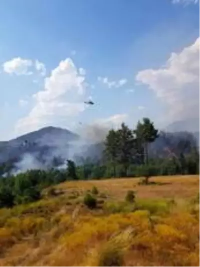 Denizli'de orman yangını 3 helikopterle kontrol altına alındı Denizli'de orman yangını 3 helikopterle kontrol altına alındı