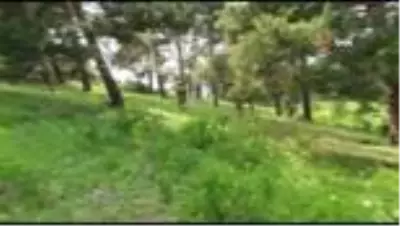 Erzurum'da 2 terörist sağ olarak yakalandı Erzurum'da 2 terörist sağ olarak yakalandı