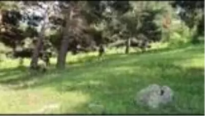 Erzurum'da 2 terörist sağ olarak yakalandı Erzurum'da 2 terörist sağ olarak yakalandı