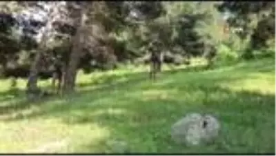 Erzurum'da 2 terörist sağ olarak yakalandı Erzurum'da 2 terörist sağ olarak yakalandı