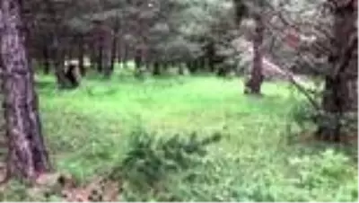 Erzurum'da 2 terörist sağ olarak yakalandı Erzurum'da 2 terörist sağ olarak yakalandı