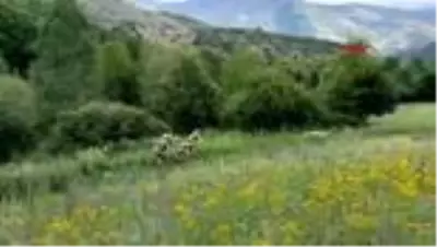 ERZURUM Şenkayalılardan jandarmaya marşlı destek