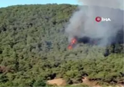 Heybeliada'da ormanlık alanda çıkan yangın kontrol altına alındı