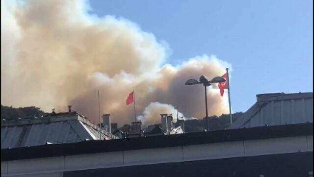 Heybeliada'daki orman yangınından ilk görüntüler geldi