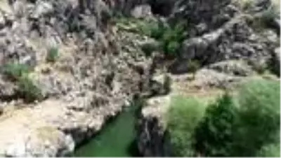 Liceli kadınların çevre hassasiyeti (1) Liceli kadınların çevre hassasiyeti (1)